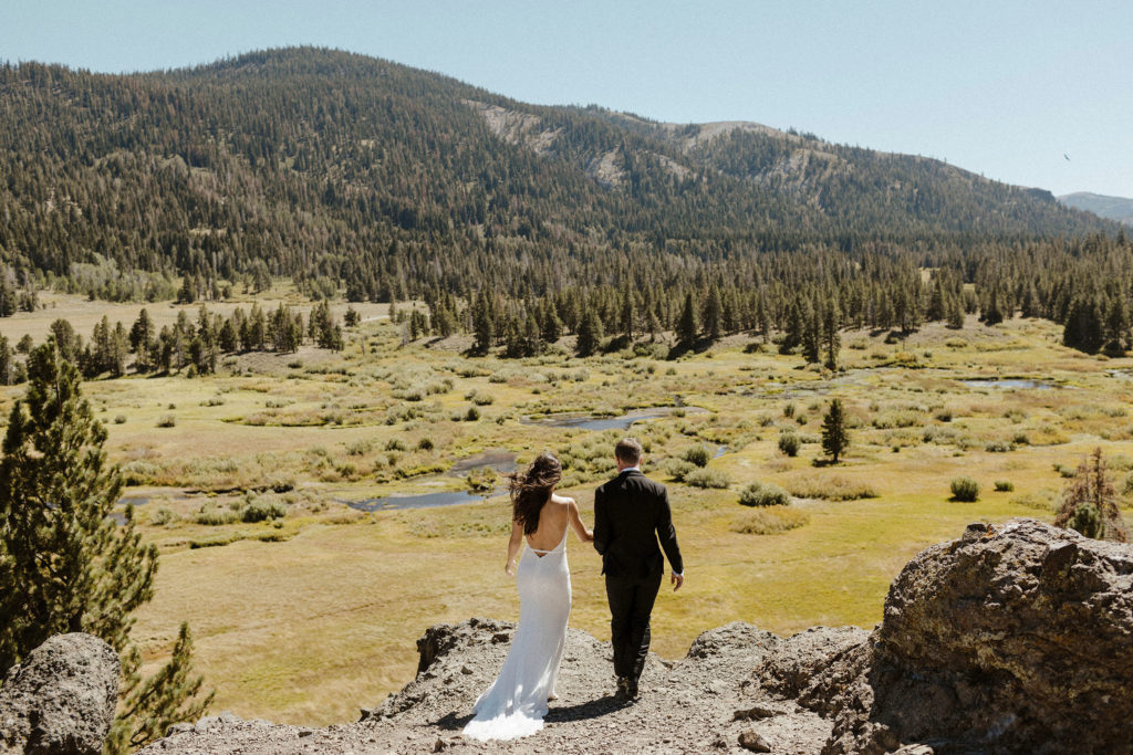 A bride and groom overlooking a lake tahoe meadow at their dancing pines wedding
