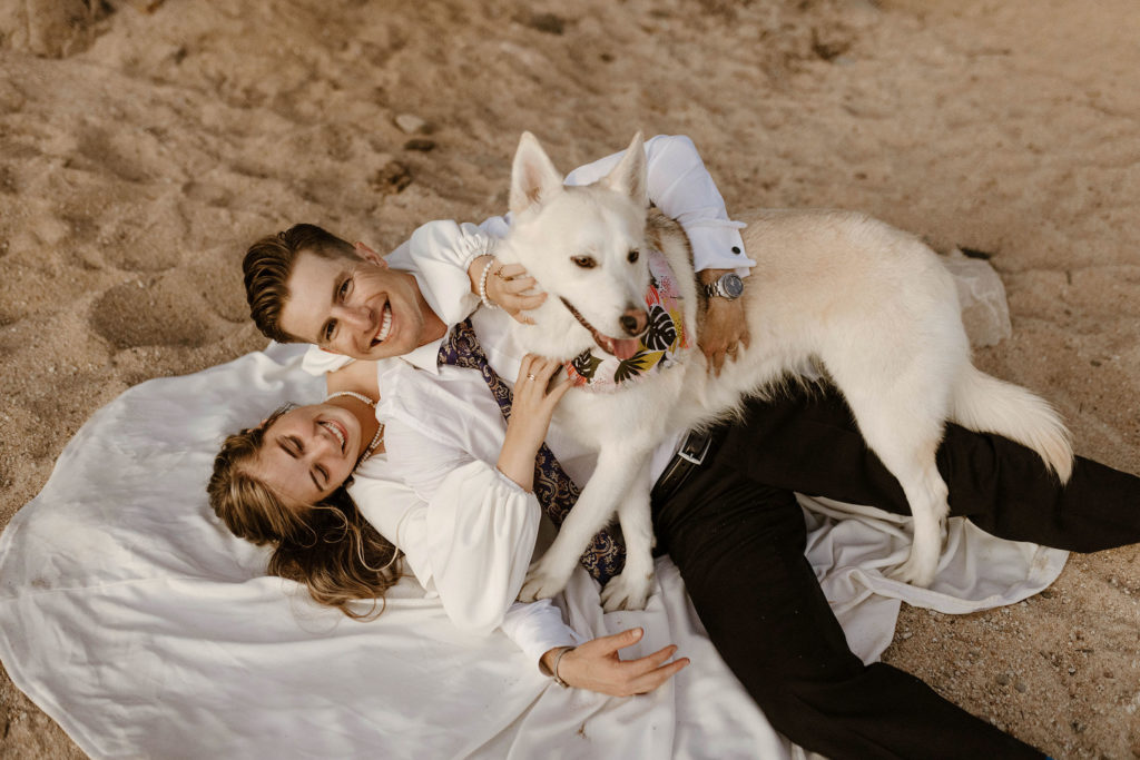 bride and groom smiling with a dog on the beach in lake tahoe