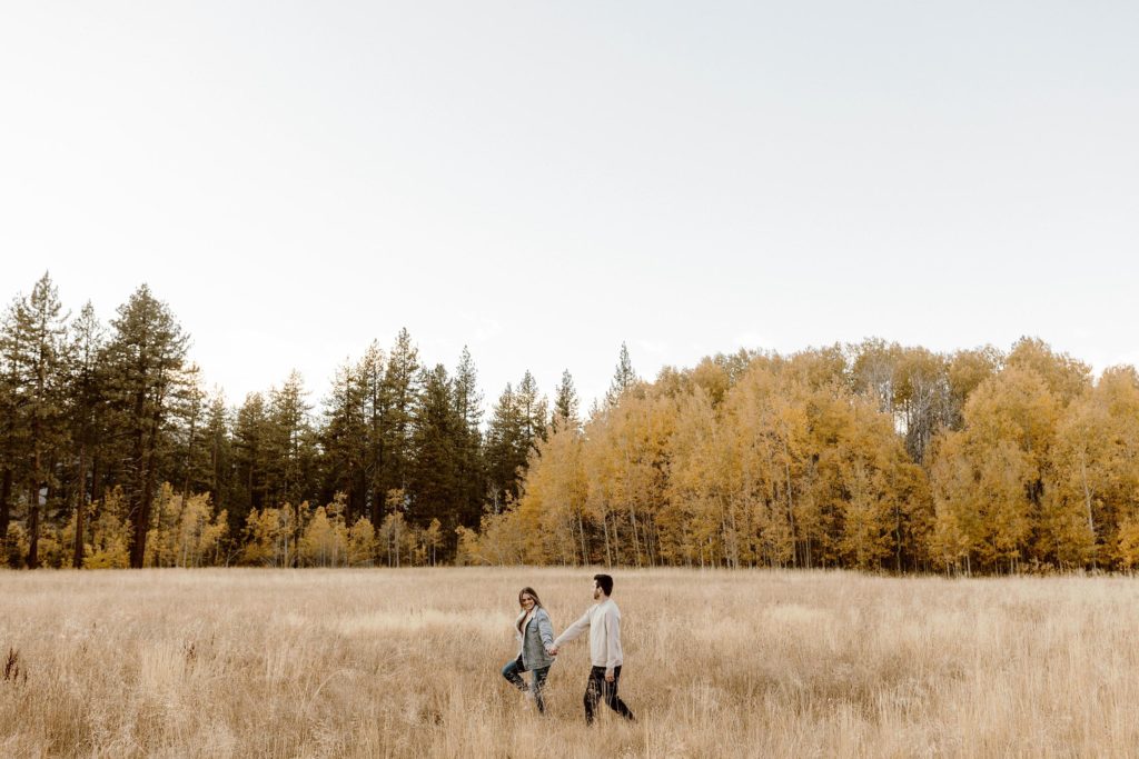 engagement couple walking hand in hand in a golden meadow in lake tahoe 