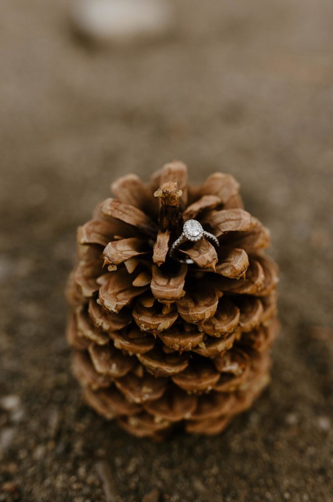 wedding ring on a pinecone
