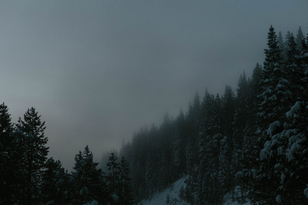 dark foggy morning in lake tahoe