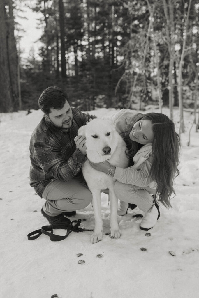 couple petting their dog in the snow