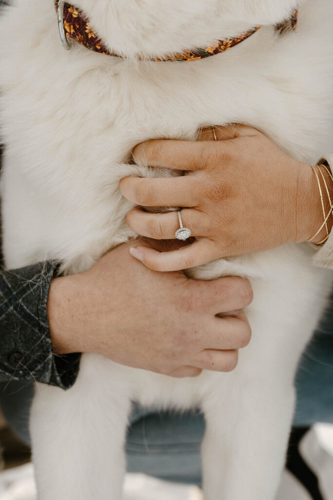 couple petting their dog, showing ring