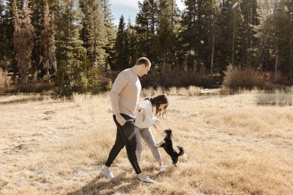 couples playing with their dog at mount rose meadows in the fall