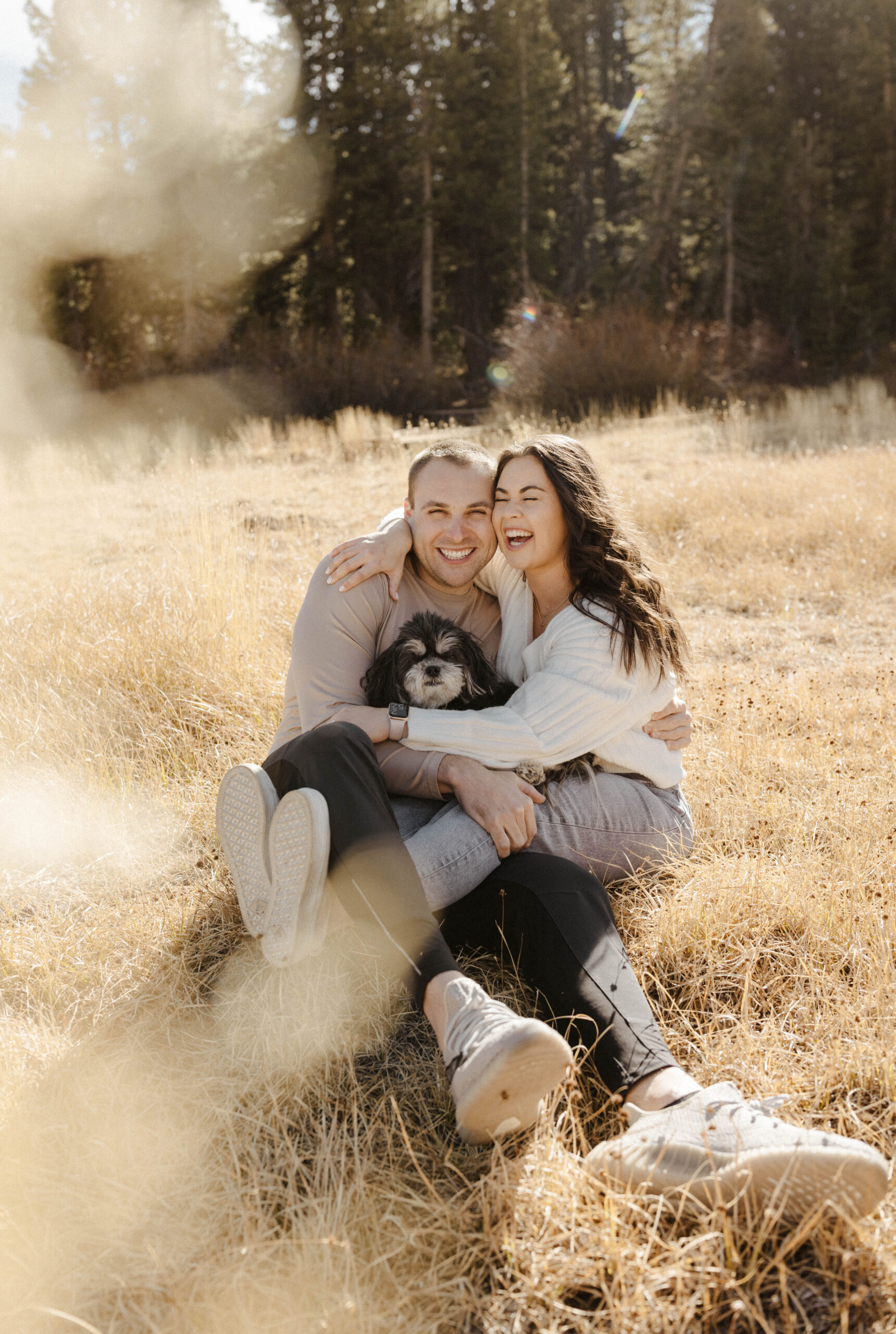 engagement couple sitting in Mount Rose Meadows with their dog