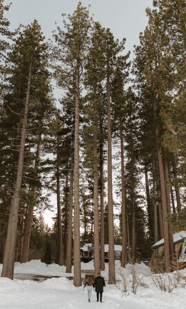 couple walking away in the snow in the distance in lake tahoe with the trees towering above