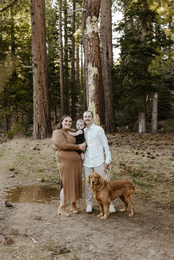 Engagement couple holding baby and dog smiling at camera with tall trees in background at Lake Tahoe