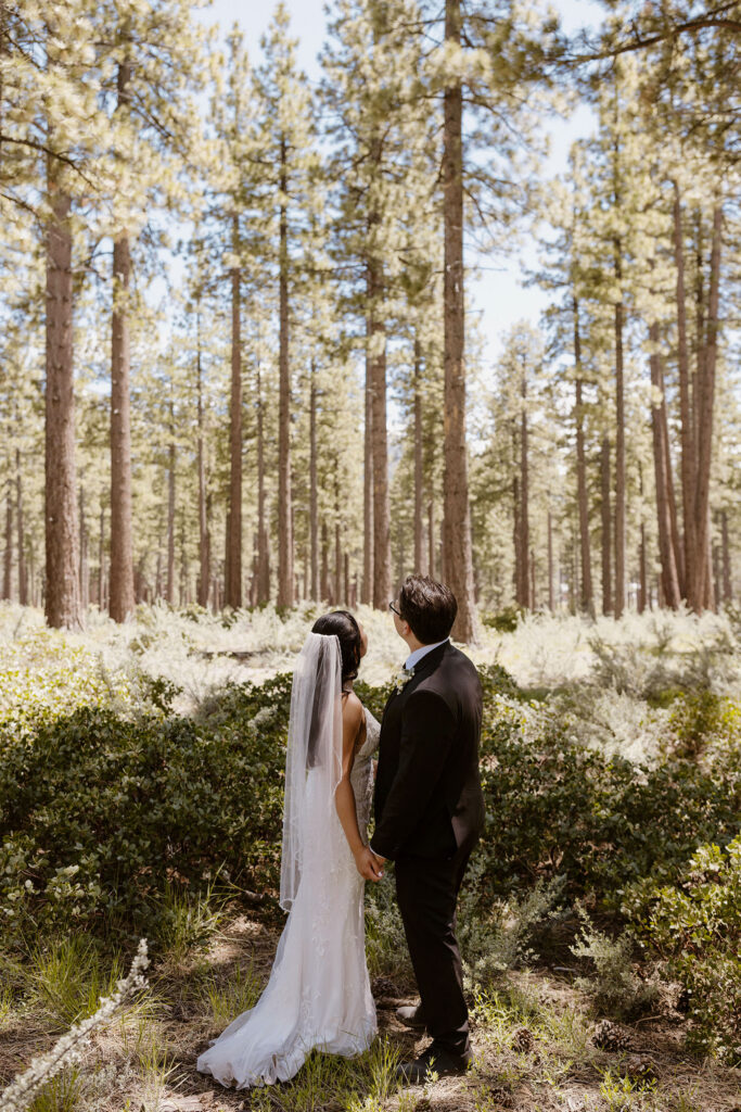 Elopement couple holding hands and looking up at tall pine trees together in Lake Tahoe