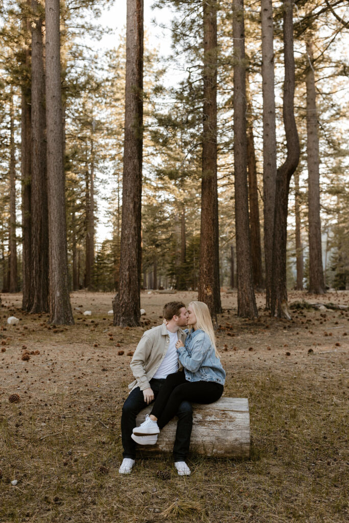 Engagement couple sitting on log together surrounded by tall trees at Meeks Bay