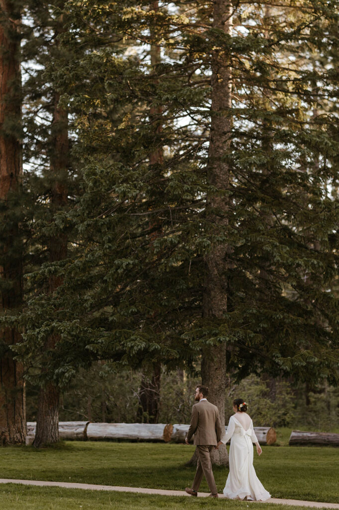 Wedding couple holding hands while walking away from camera between pine trees at Valhalla Lake Tahoe