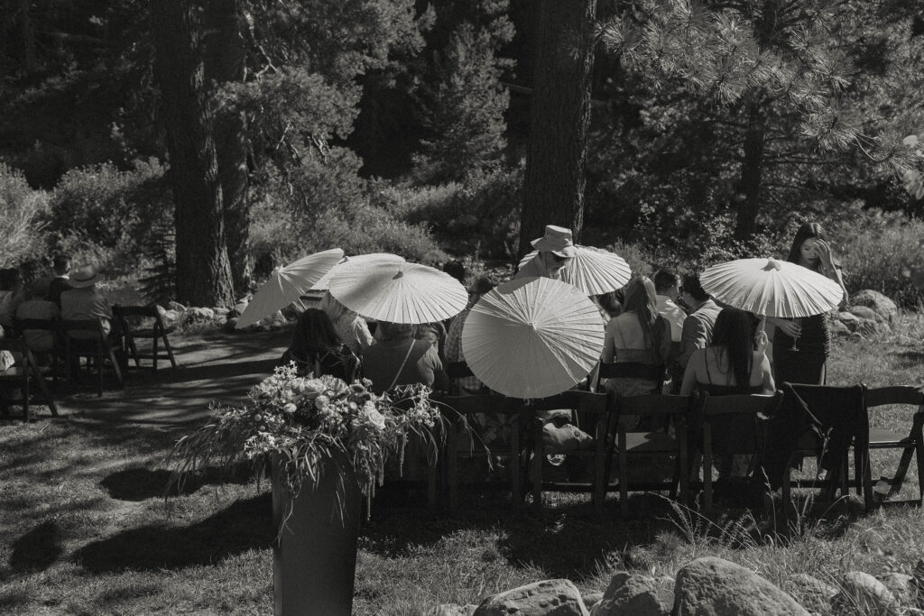 Wedding guests holding umbrellas before ceremony at dancing pines