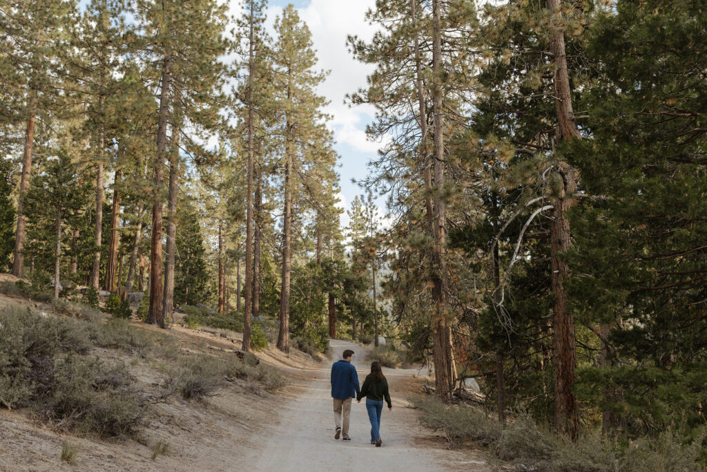 Engagement couple holding hands while waling down trail together surrounded by tall pine trees on either side in Lake Tahoe