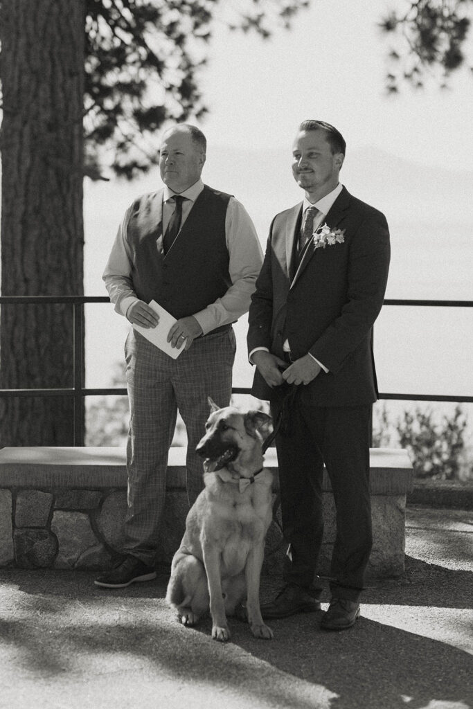 Wedding groom standing next to officiant while holding dog and smiling during ceremony at Logan Shoals