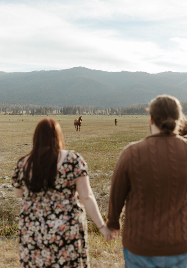 Engagement couple holding hands and standing at fence line watching horses in open field at Graeagle