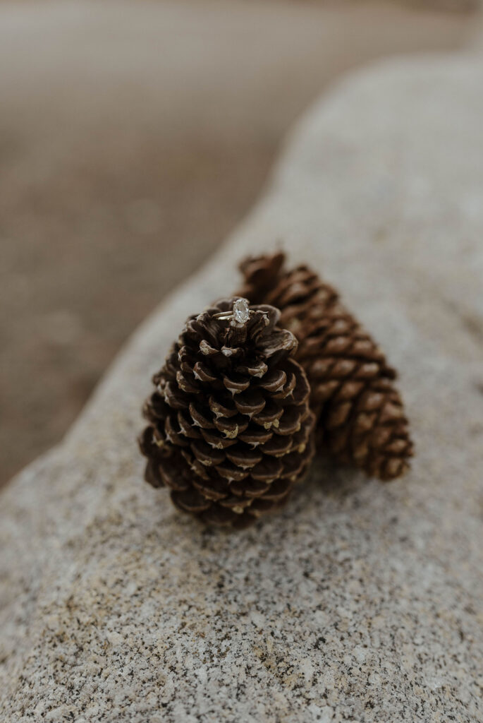Close up of engagement rings on pinecones sitting on rock in Lake Tahoe