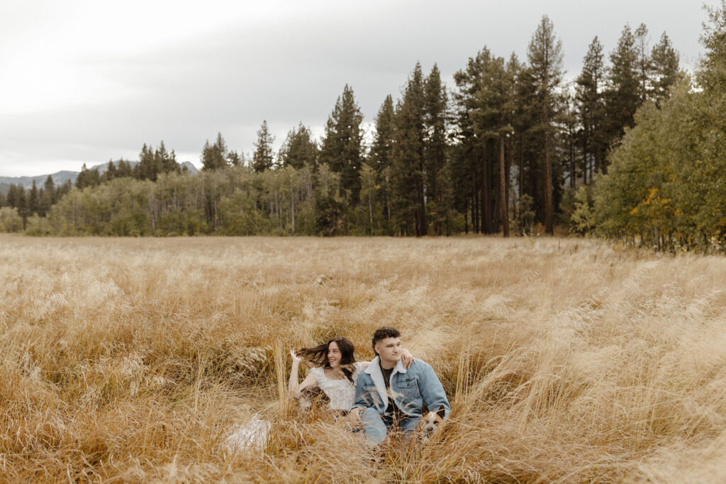 engagement couple sitting in a meadow in south lake tahoe with their dogs while they look in opposite directions