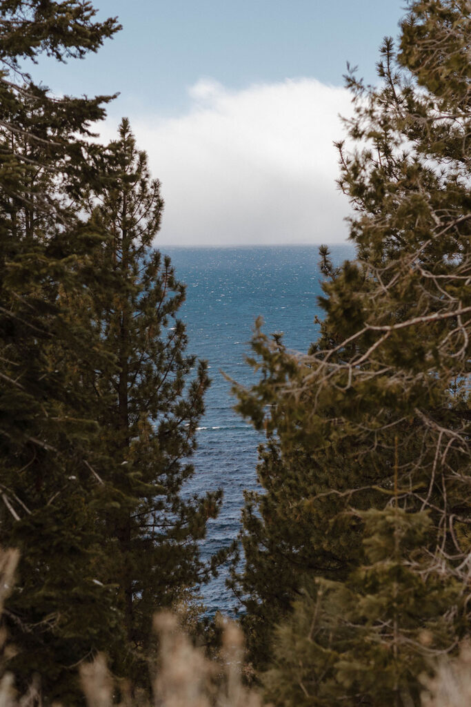 lake tahoe blue water through the pine trees
