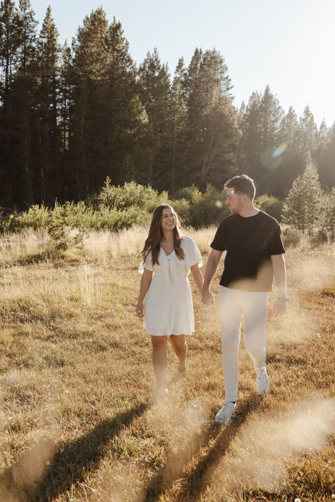 engagement photos at mount rose meadows in lake tahoe