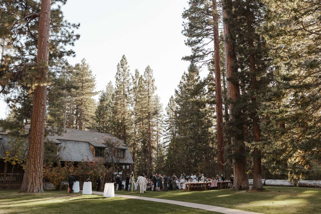 Overview of wedding ceremony at Valhalla in Lake Tahoe with tall pine trees