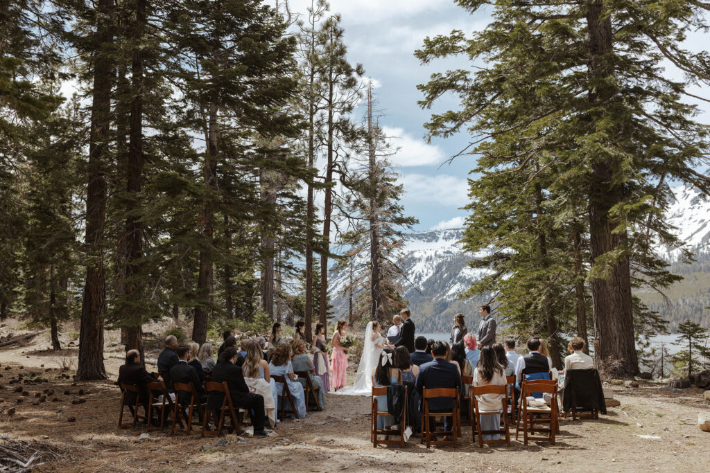 Wedding ceremony in between pine trees in South Lake Tahoe with snowy mountains in background