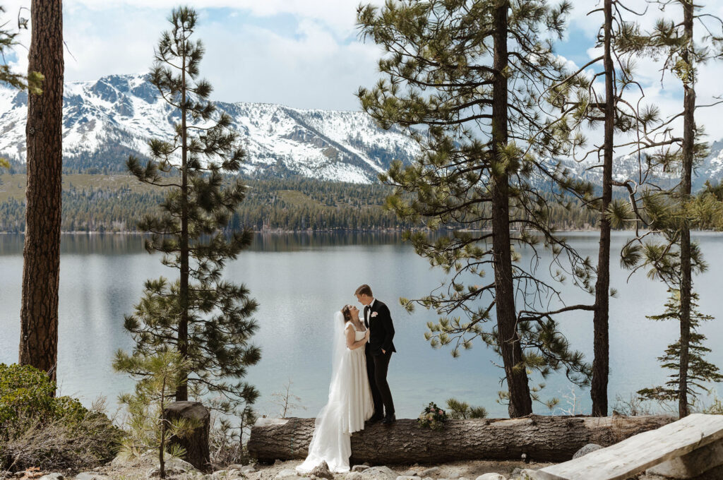 Wedding couple standing on log together in between pine trees while holding and smiling at each other in front of Lake Tahoe