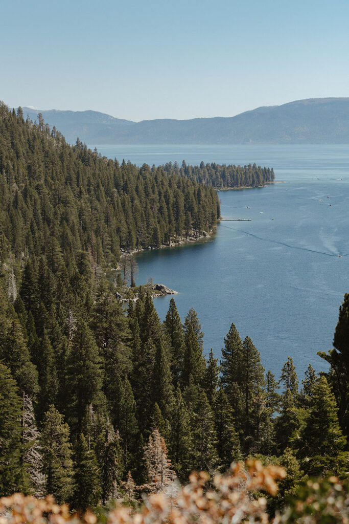Tall pine trees on hillside next to water at Lake Tahoe with mountains in background