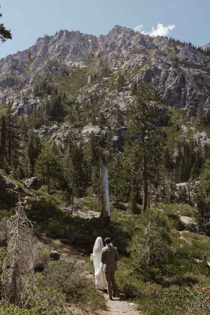 Wedding groom holding bride's trail while walking down path together between lots of greenery with pine trees in front of them