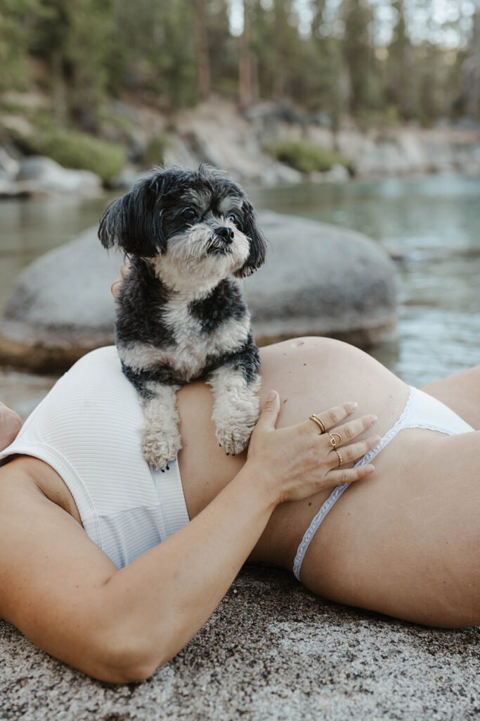 Dog laying across woman while she's laying down on a rock and holding pregnant belly on a Lake Tahoe beach