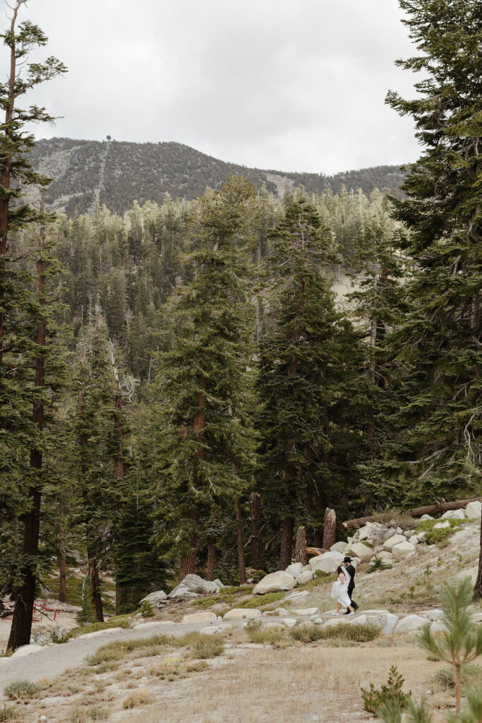Wedding couple in the distance walking down path surrounded by pine trees at Heavenly Lake View Lodge
