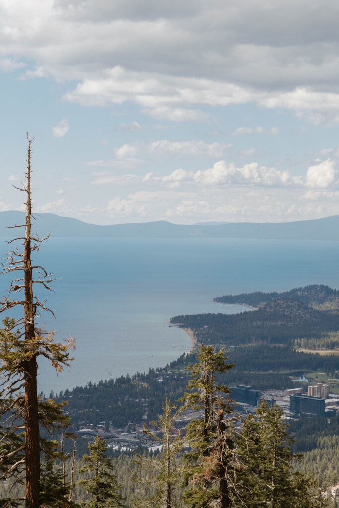 View of Lake Tahoe and pine trees from window of cable car at Heavenly Lake View Lodge