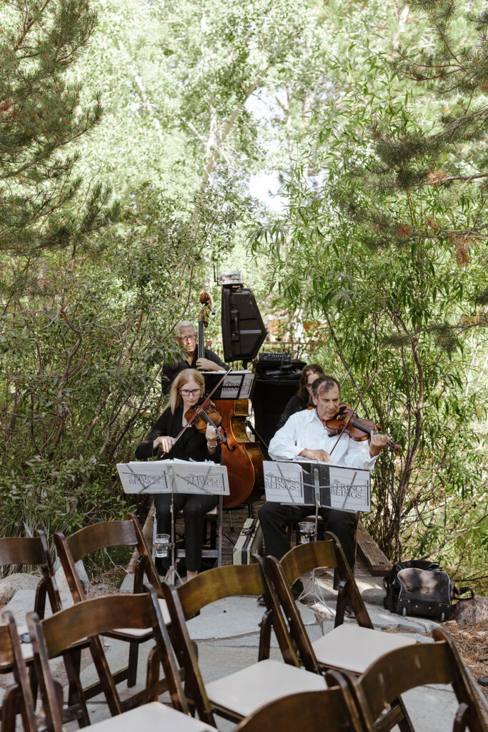 Musicians playing instruments in between greenery with dark wooden chairs in front of them at the PlumpJack Inn