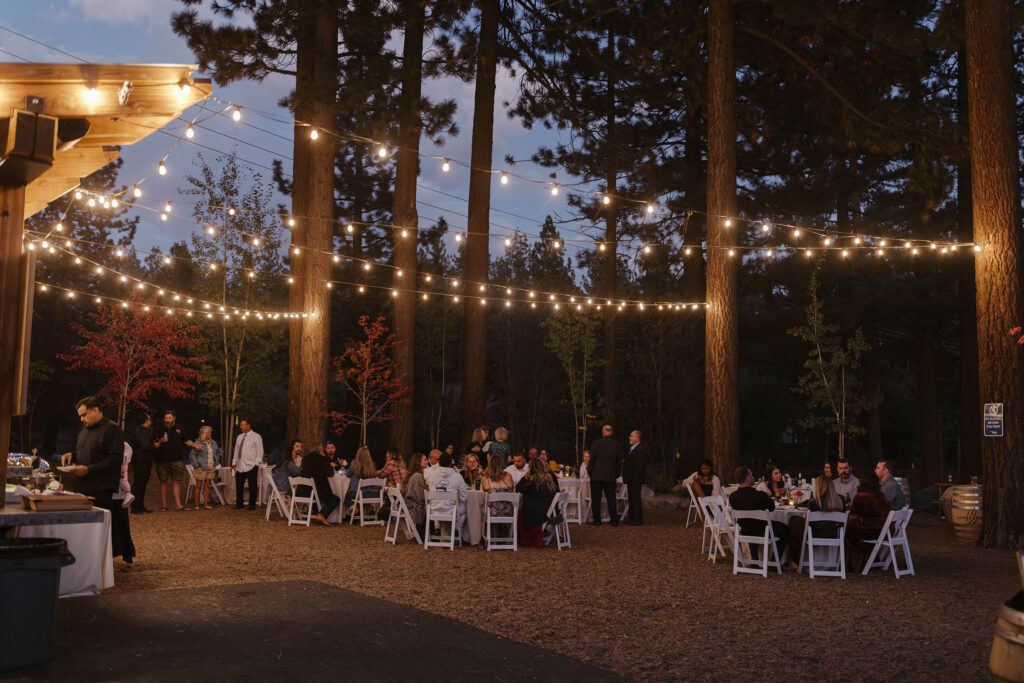 Elopement reception in between tall pine trees with string lights strung between them and guests enjoying themselves in Lake Tahoe