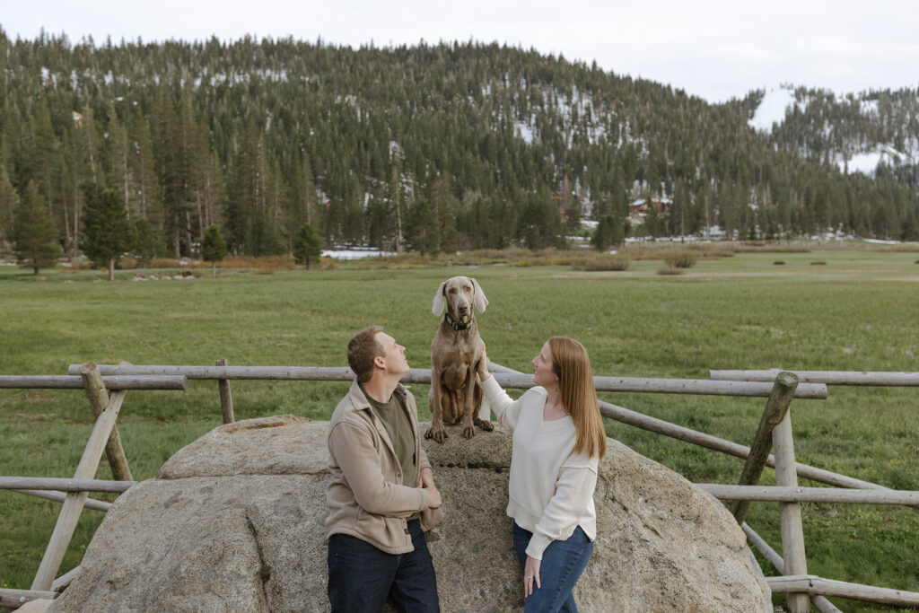 Dog sitting on large rock looking at camera while engagement couple stand on either side of him with snowy mountains in background at Palisades