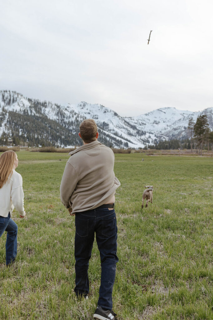 Engagement couple throwing stick for their dog while he chases after it in an open field with snowy mountains in background at Palisades