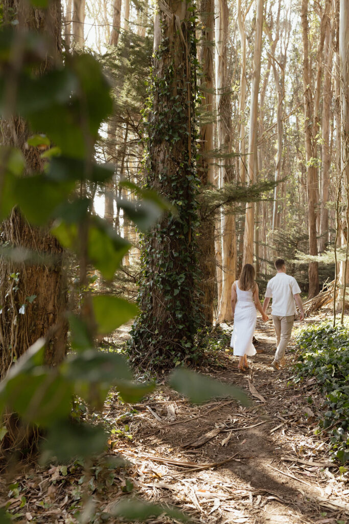 Couple walking through Lovers' Lane during a San Francisco engagement session surrounded by towering eucalyptus trees