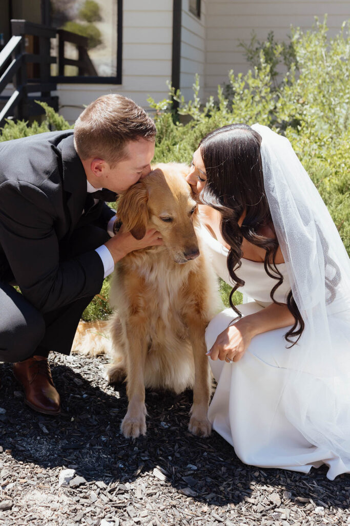 The bride and groom kiss their golden retriever during wedding portraits in Lake Tahoe