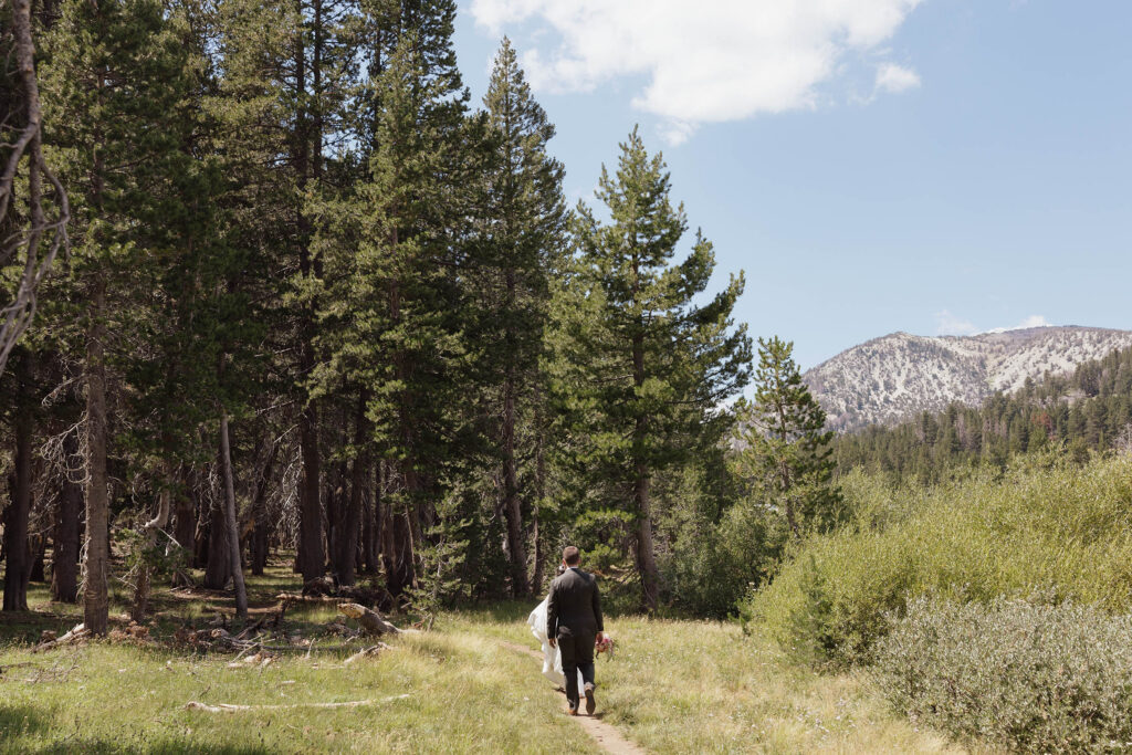 Bride and groom walking along a meadow trail surrounded by pine trees with a rocky mountain ridge in the distance